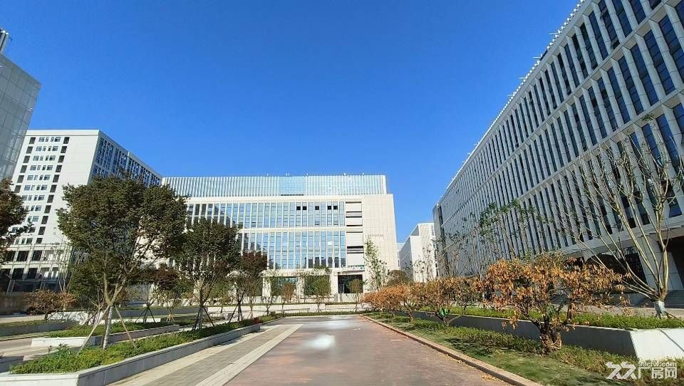达州青网科技园全新厂房直租 - 6