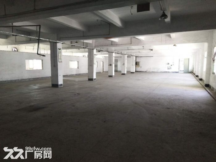 凤岗金凤凰出租一楼标准厂房840平方 实际面积出租