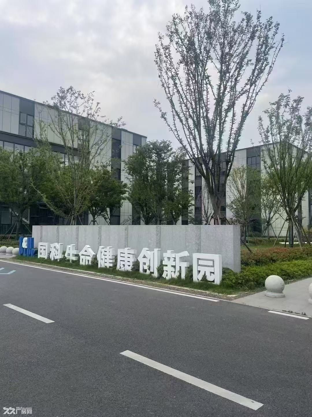 绍兴全新厂房，可租可售价格优惠 - 6