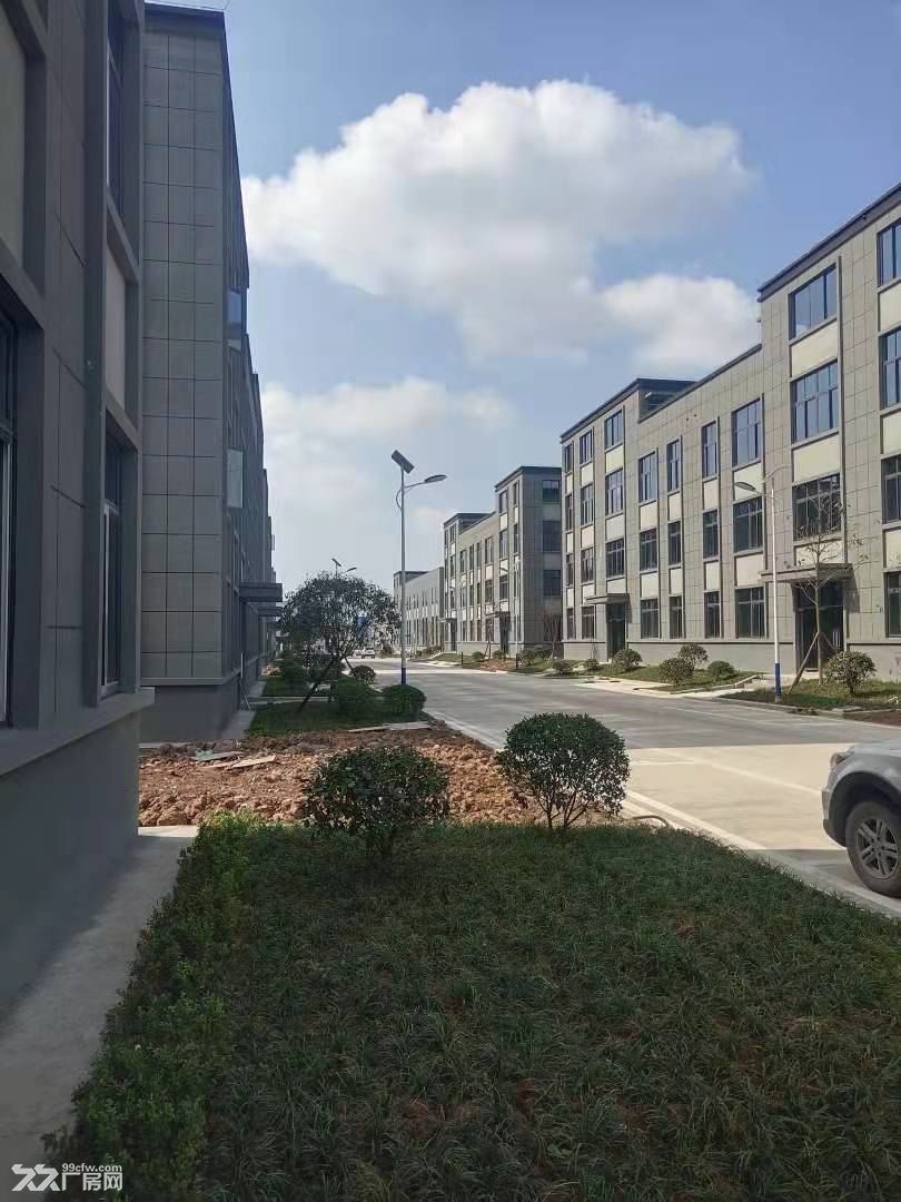 珞璜高速路口单层带院厂房出租 - 4