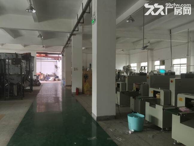清溪铁松村原房东独院厂房3600平,带装修办公室,可分租,可进拖头车,可办环评 - 3