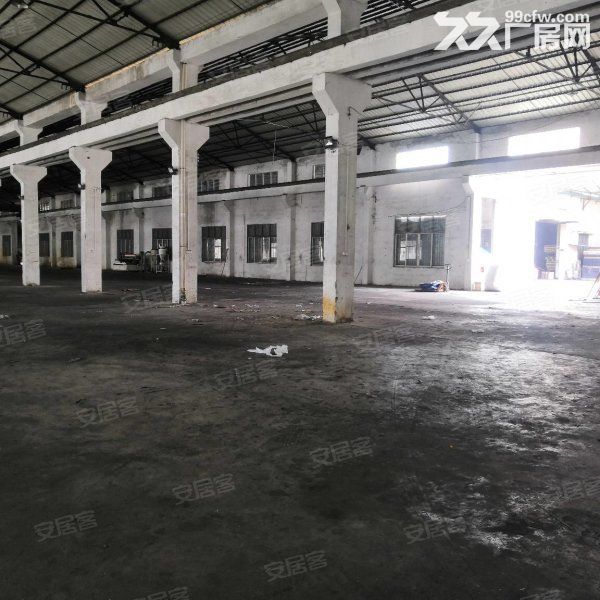 台山北坑工业区独立单一层厂房仓库2000平方招租，水电齐全 - 3