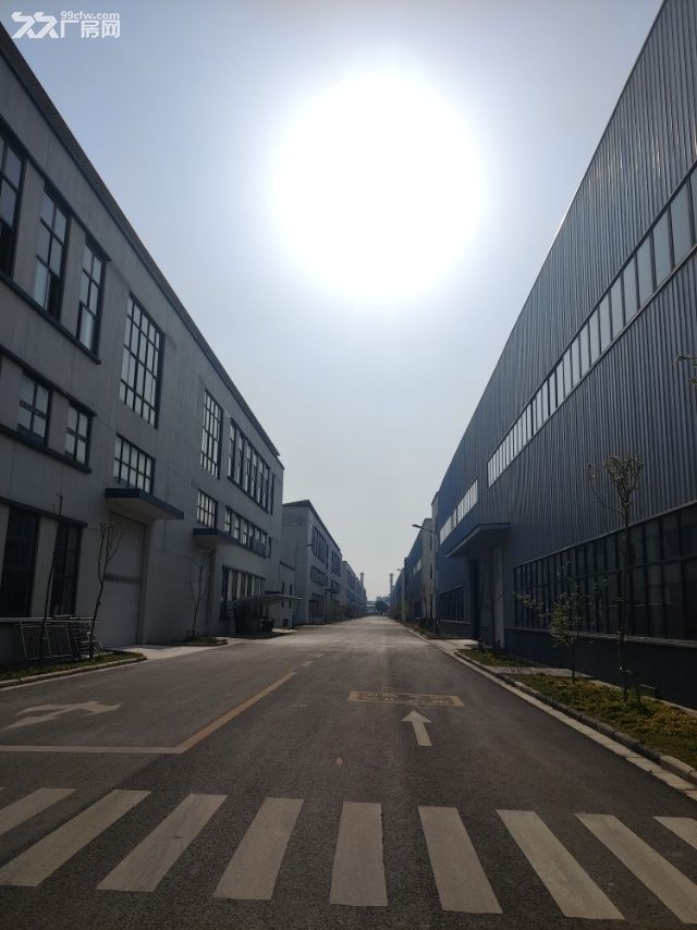带牛腿机械类厂房，可租可售，园区现房 - 2