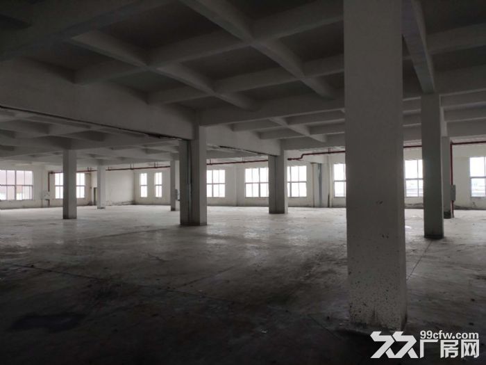 两江新区北碚蔡家工业园独栋3000平厂房出租 - 3