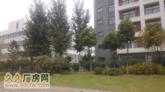 武汉开发区常福新城独栋2000m2钢构厂房配10T行车