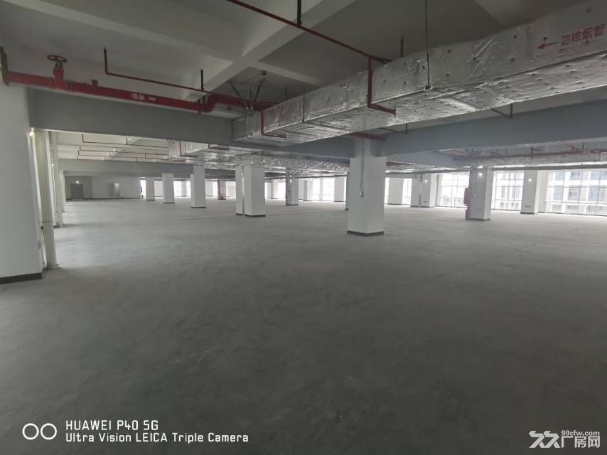 白云区钟落潭镇全新红本厂房出售 - 3