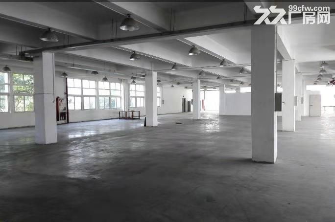 集中工业区 同安园 三楼厂房 900平米原房东出租