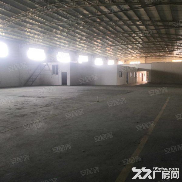 台山北坑工业区独立单一层厂房仓库2000平方招租，水电齐全 - 5