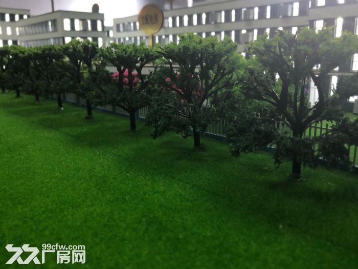准现房50年产权首付两成起 - 4