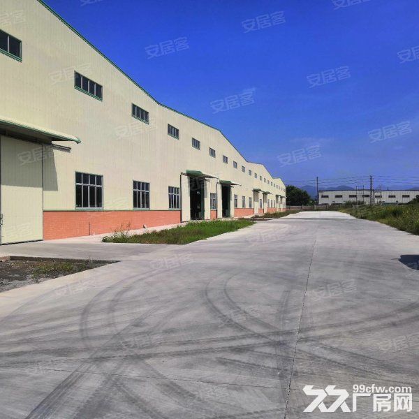 江门台山长龙工业区12米高钢结构厂房仓库15000平方可分租 - 4