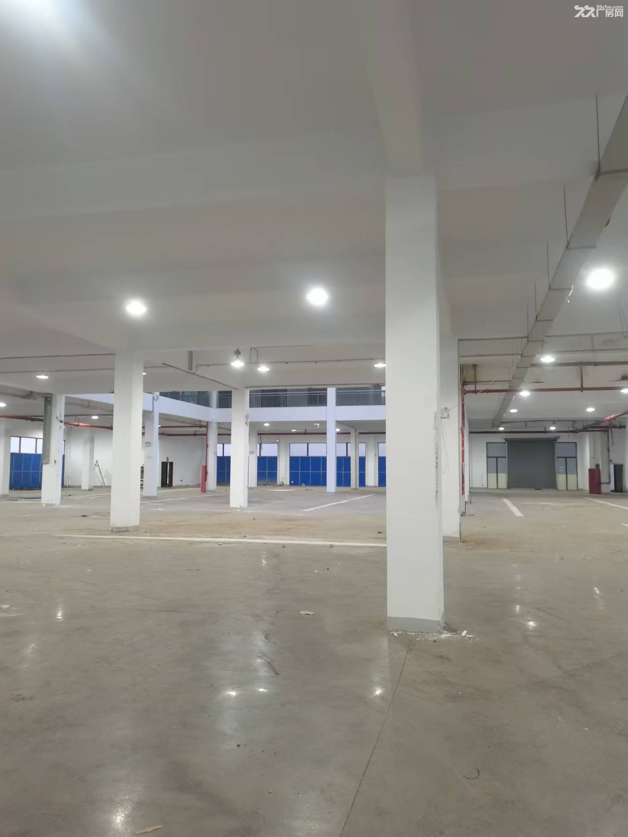 江宁滨江开发区1楼3000㎡厂房 - 2
