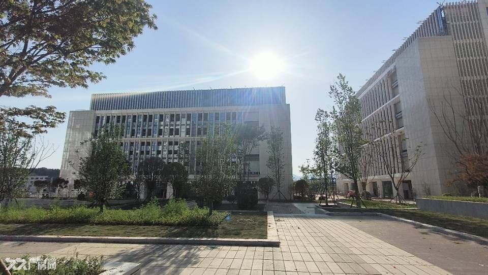 达州青网科技园 全新厂房写字楼直租 - 5