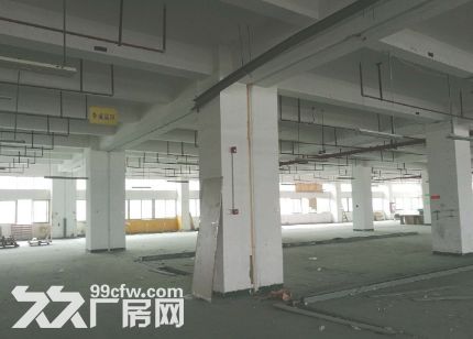后溪工业区标准厂房独幢每层3200出租 - 3