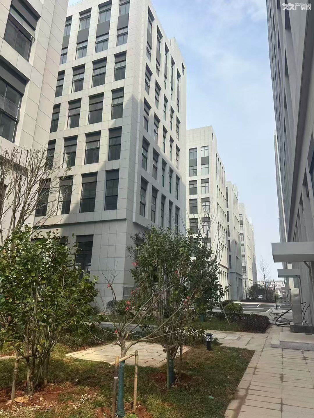 全新厂房对外出租,价格可谈 - 3