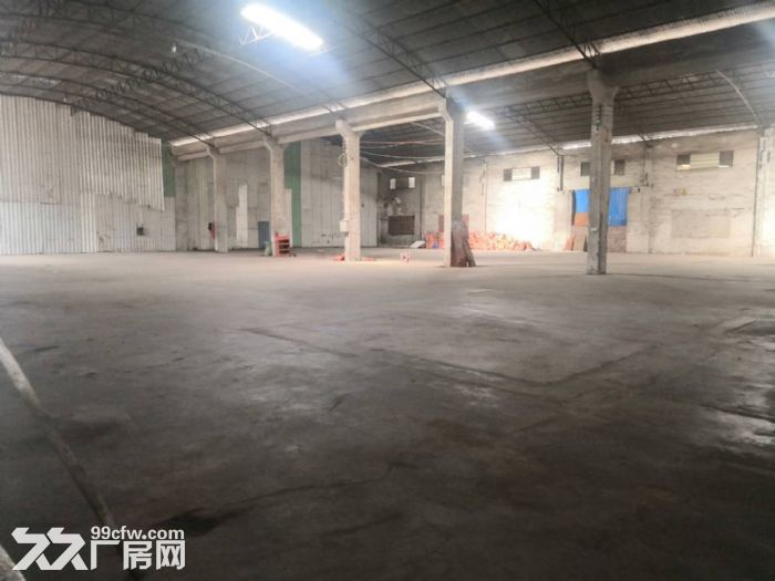 江门台山可做有气味,噪音,灰尘行业厂房出租