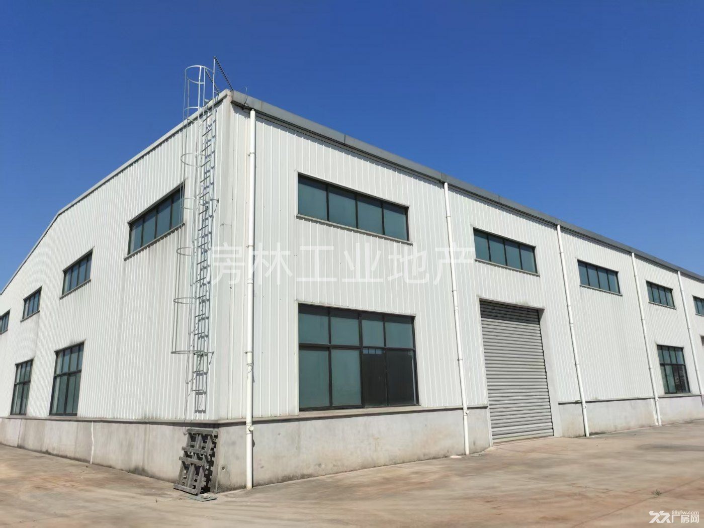 南通 启东 全新厂房 配套住宿,食堂,宿舍.手续齐全 - 3