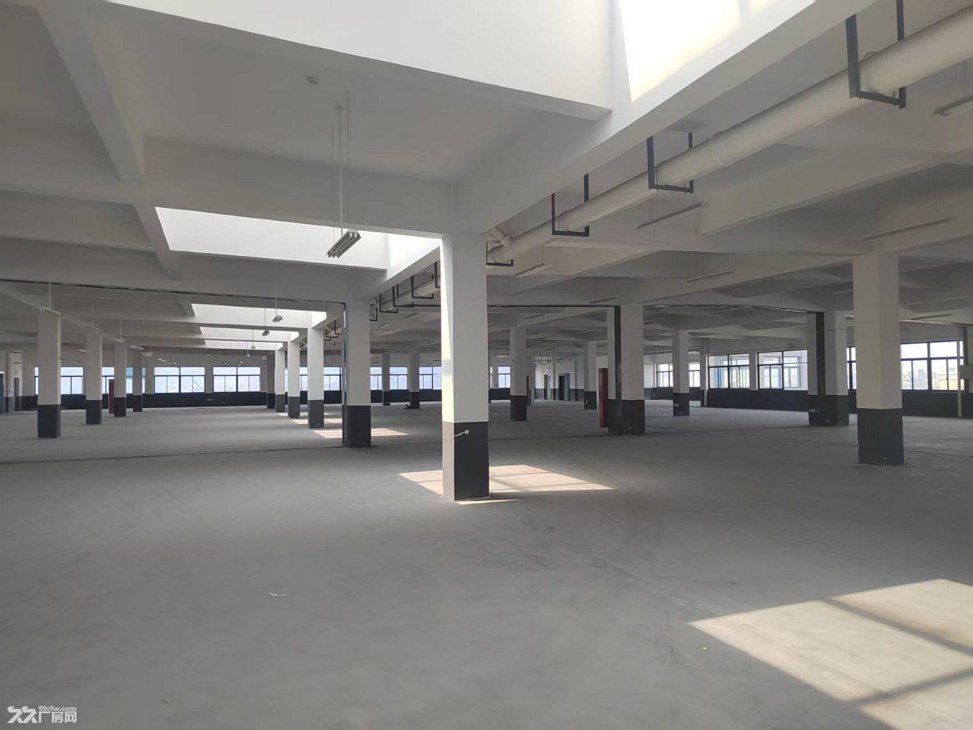 独栋新园区招商一万方，电商组装办公仓储展厅轻加工等 - 3