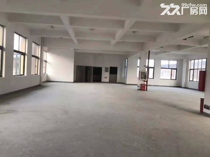 证件齐全开发商直租上海金山和浙江嘉兴平湖交汇处价格 - 3