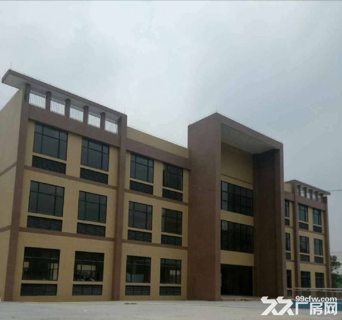 蓬江区棠下镇独院钢构单一层30000平带豪华办公室出租