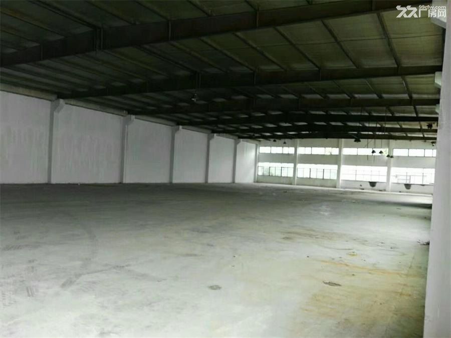 出租双流蛟龙工业港400至700平米厂房.库房 - 3