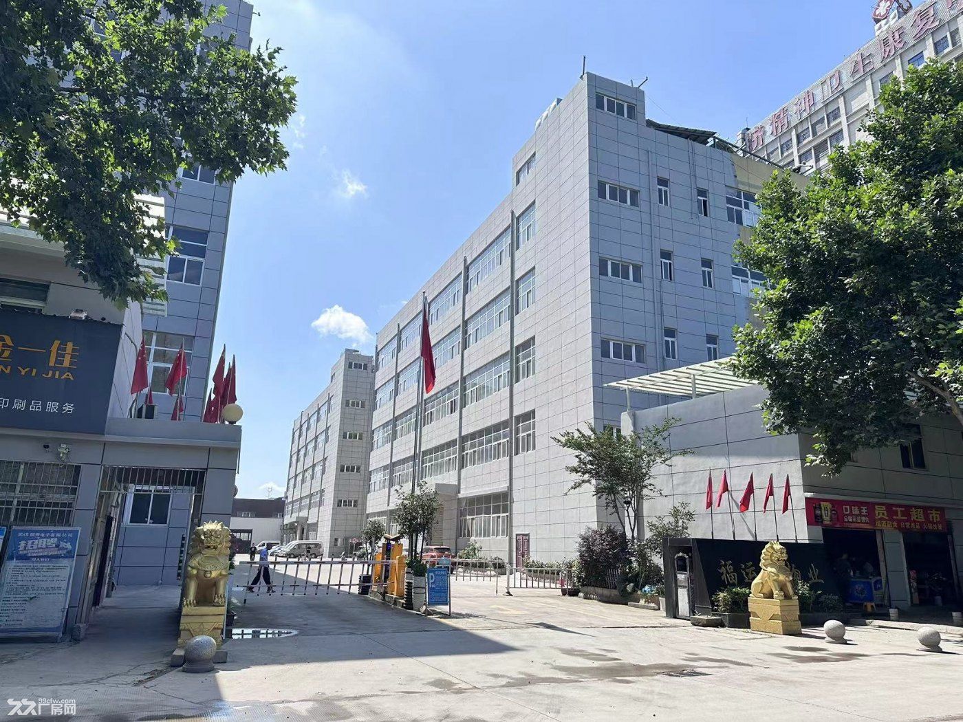 汉阳黄金口三环线旁大型厂房一层钢构、仓库出租 - 6