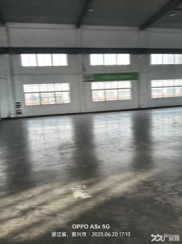 大桥工业园,大单层行车有3000平随时看房 - 3