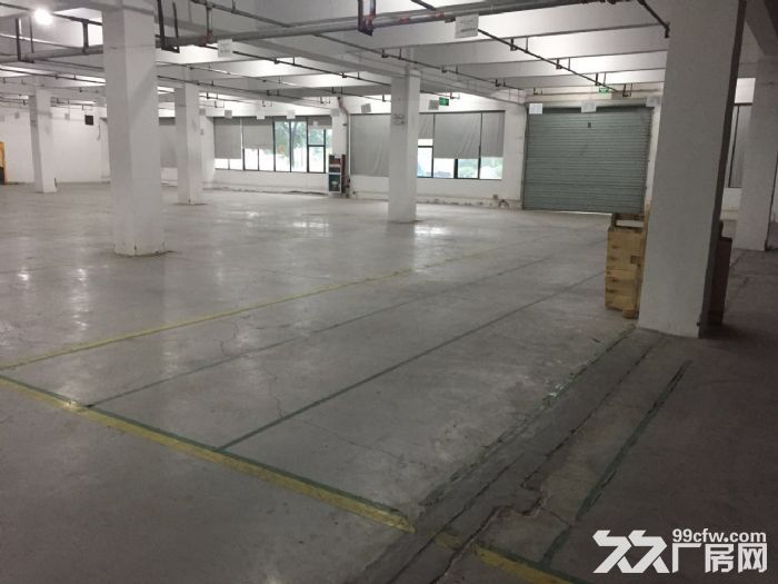 滨文路一楼1200方,层高6米,适合展厅摄影科技类 - 5