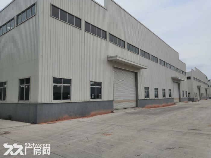 江门台山工业区50000平方单一层12米高钢结构厂房仓库招租 - 2