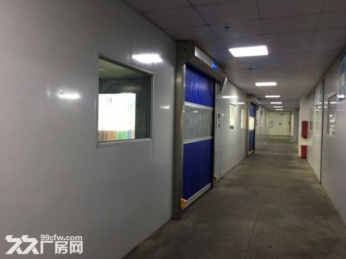 仲恺惠环工业园一楼厂房出租4000平,高6米,带无尘车间 - 4