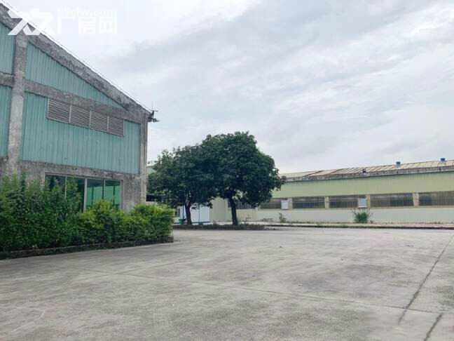 白云人和工业园原房东单一层钢构厂房,4500平,适合五金,电商,物流 - 3