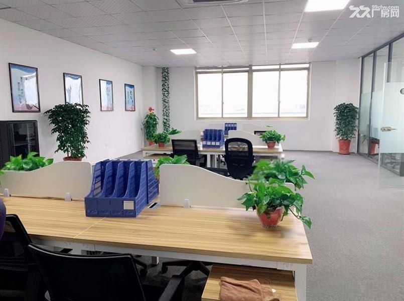 菊园一房东出租1500单层厂房仓库,场地大,形象好 - 7