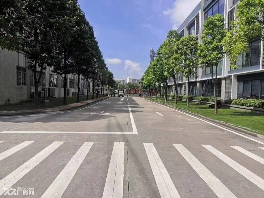 黄埔区埔南超实惠办公室出租 - 6