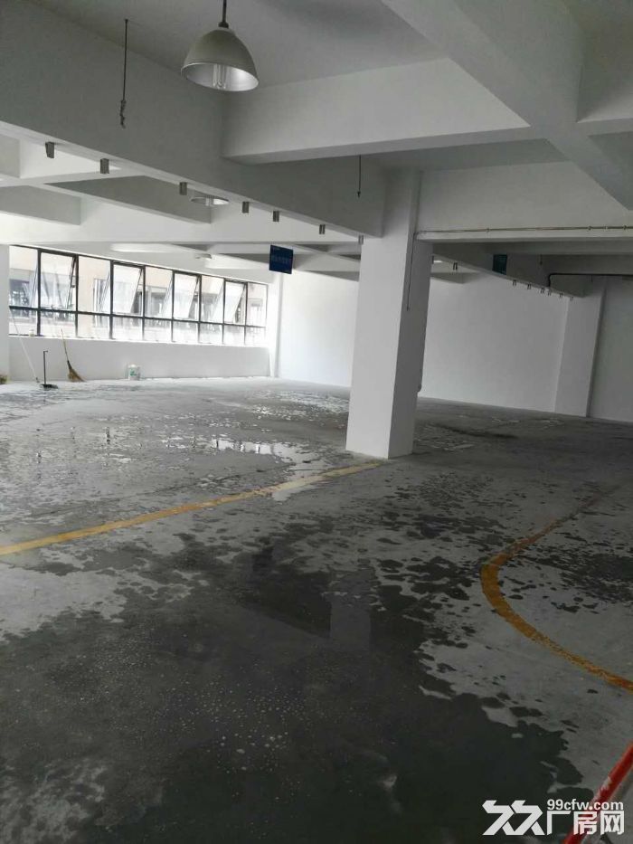 滨江核心200到300精装修,租办公电商摄影科技型客户