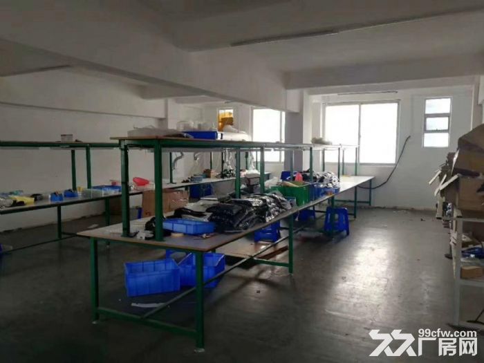龙西原房东红本厂房一万五千平方可大小分租 - 2
