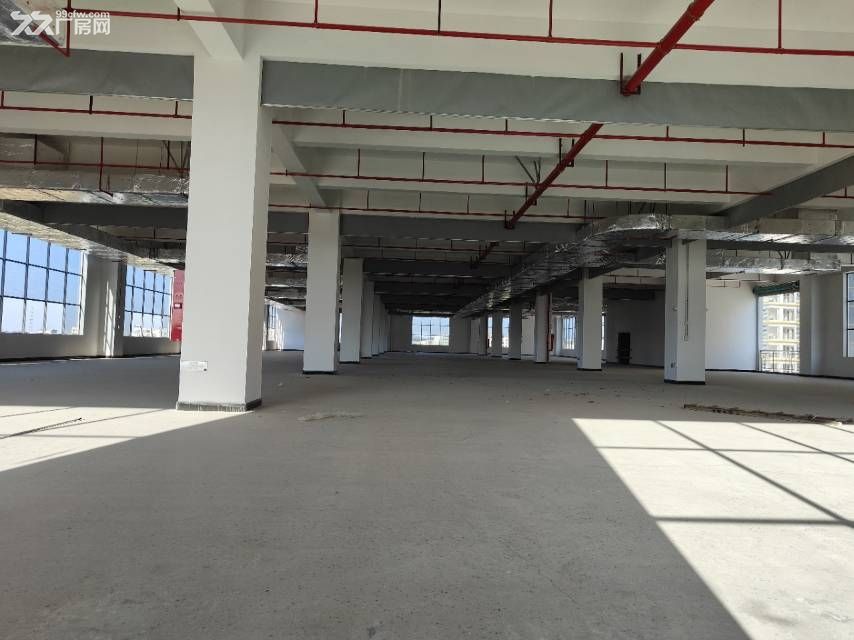 惠州市博罗县石湾镇最新独院厂房出租56000平方,金刚砂地面 - 8