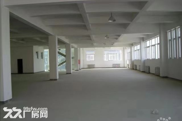 【层高8米】跨度40米 50年产权 - 4