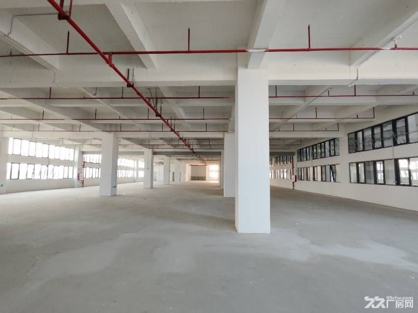 寮步新建重工业厂房13500平方厂房出租单层2680平方分租 - 5