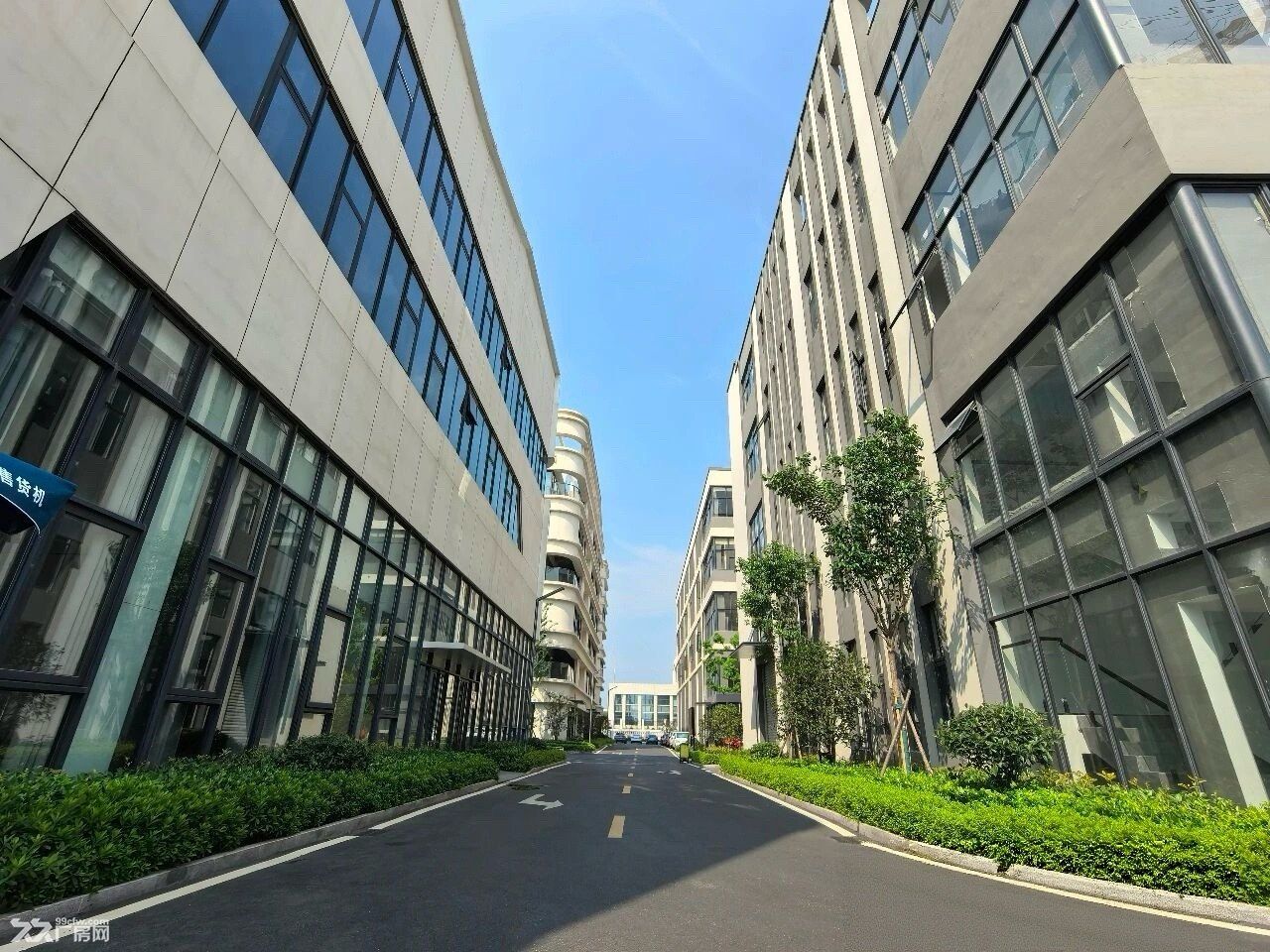 紫蓬镇800-8000方独栋框架厂房(可定制) - 4