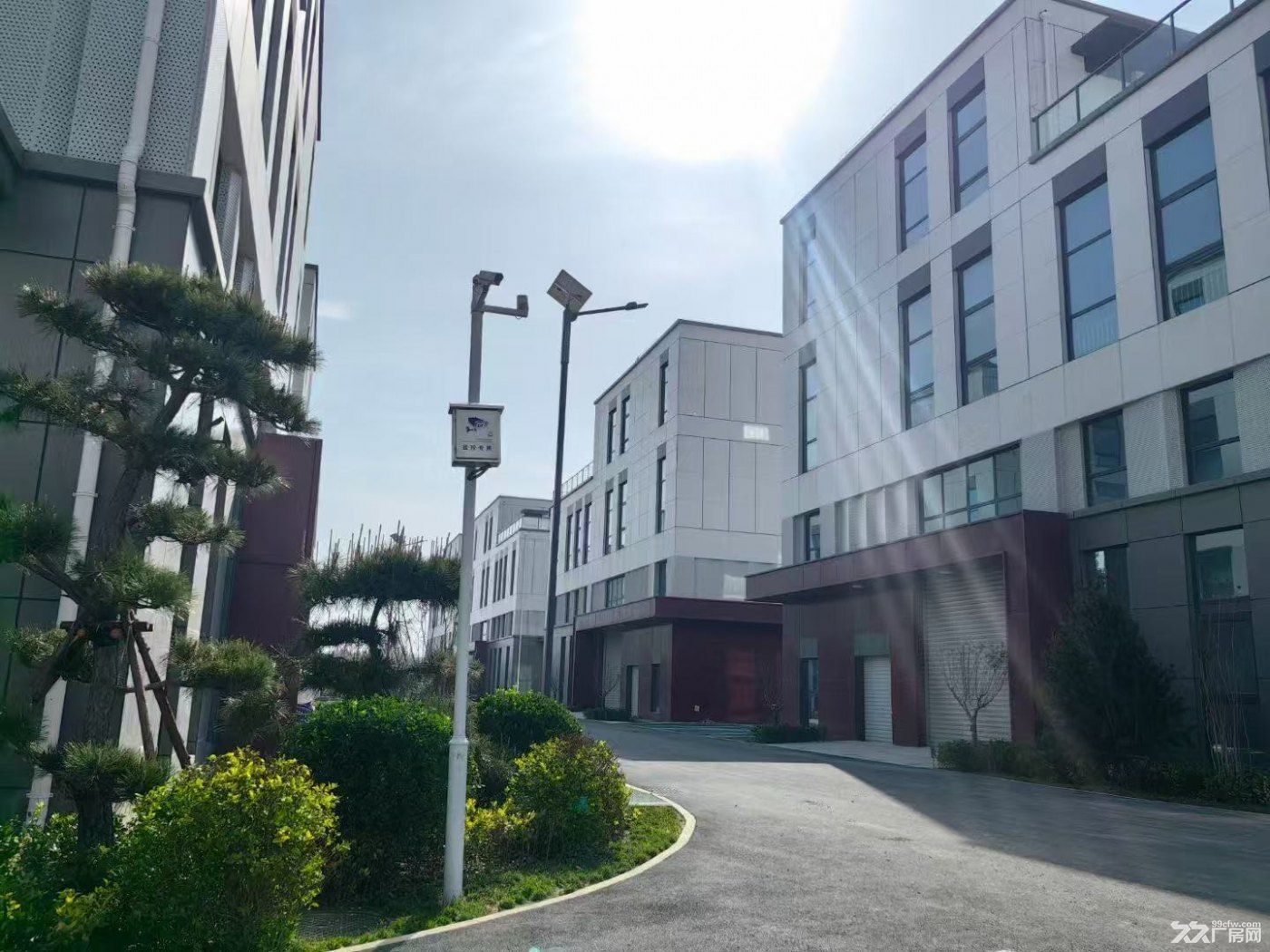 医疗器械,仪器仪表,电子信息,贸易办公企业看过来!2层独栋带院厂房出售 - 5