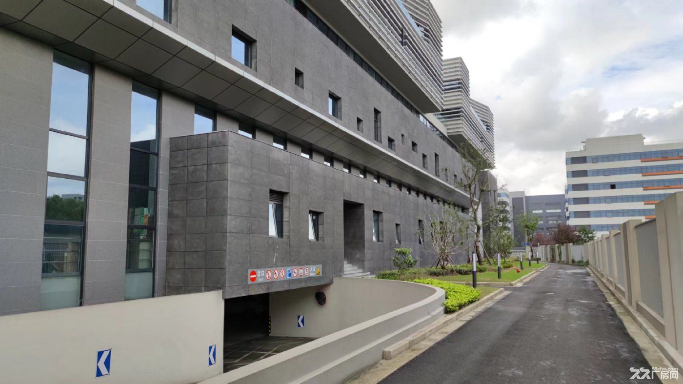 松江新桥新建5000平方米厂房出租,可分租 - 2
