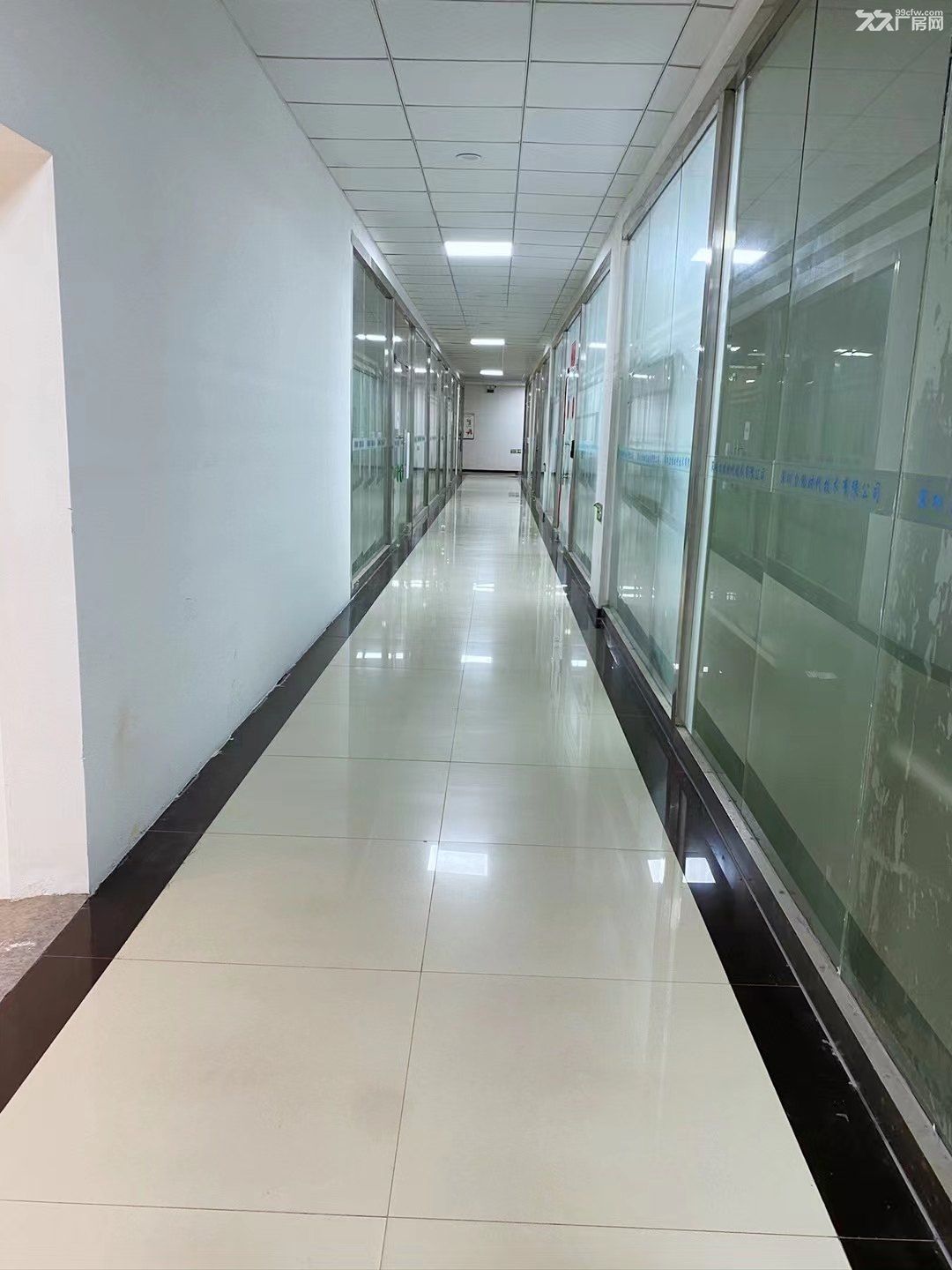 西丽大学城地铁口 一楼650平大开间办公厂房直租 - 4