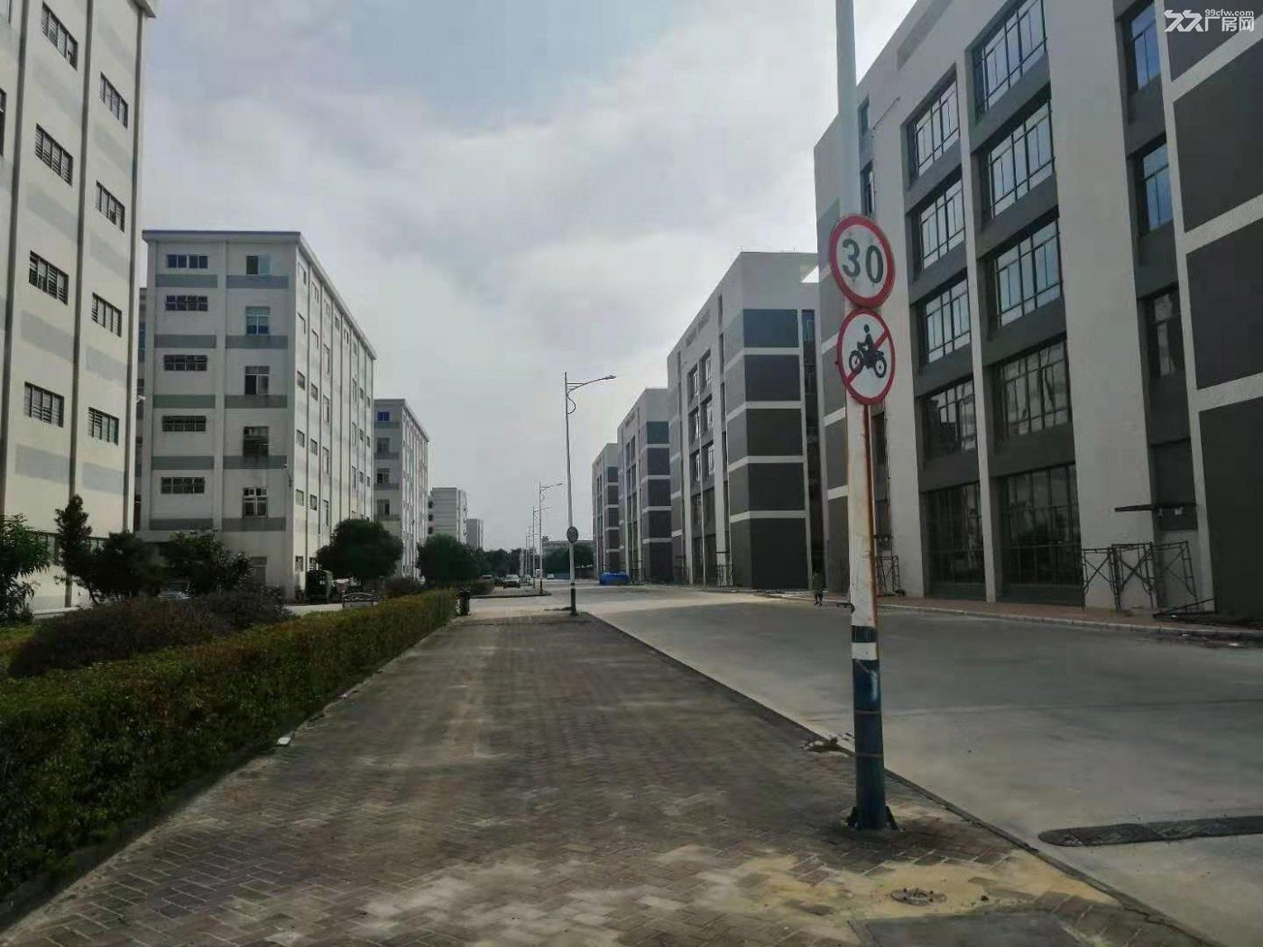 《惠》惠州市博罗县泰美附近 原房东全新产业园招商园区建筑面积80000㎡ - 7