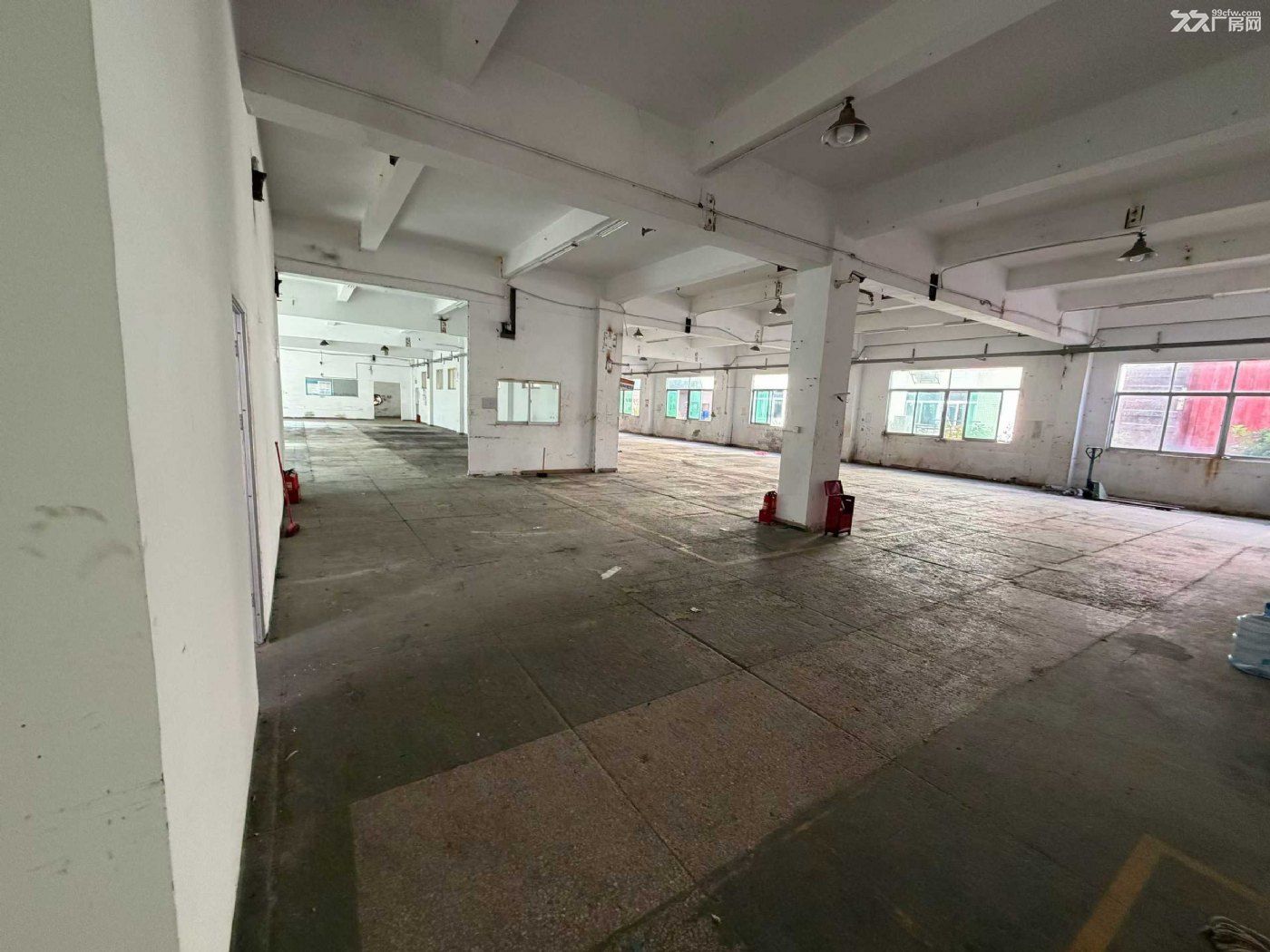 龙华观澜主干道新出独栋厂房出租3900平 - 5
