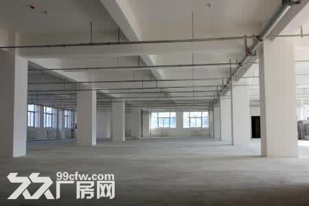 8.秣陵.1到2楼6000平米.层高5米.独栋.新建厂房.独门独院.可分租 - 6