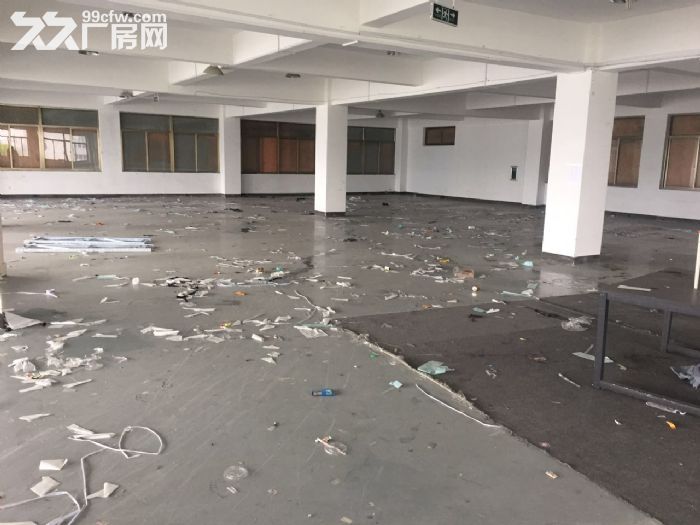 滨江600方厂房出租 价格便宜 淘宝仓储办公 - 3