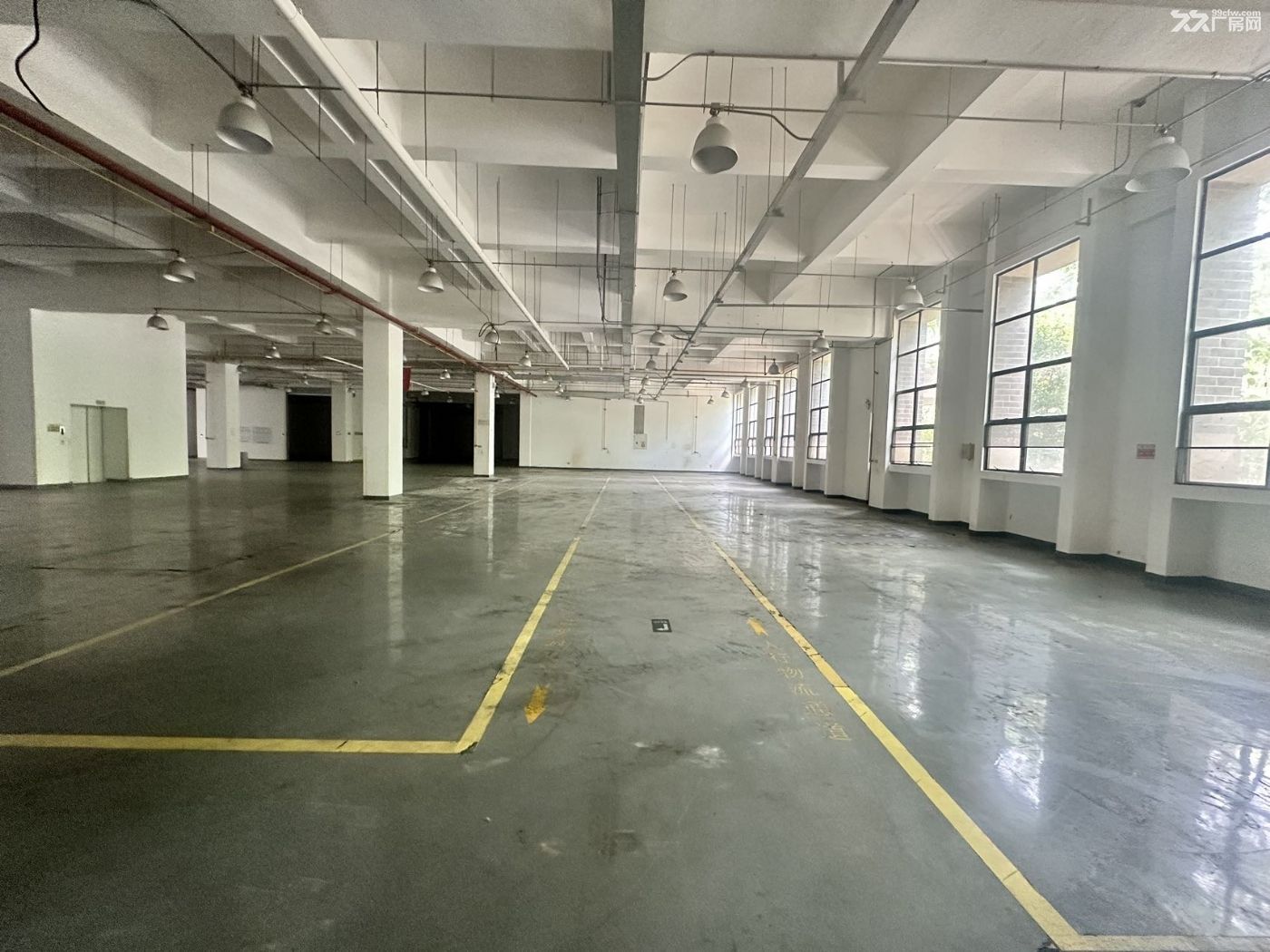 黄埔区军工企业独门独院厂房送 8000 方空地 - 4