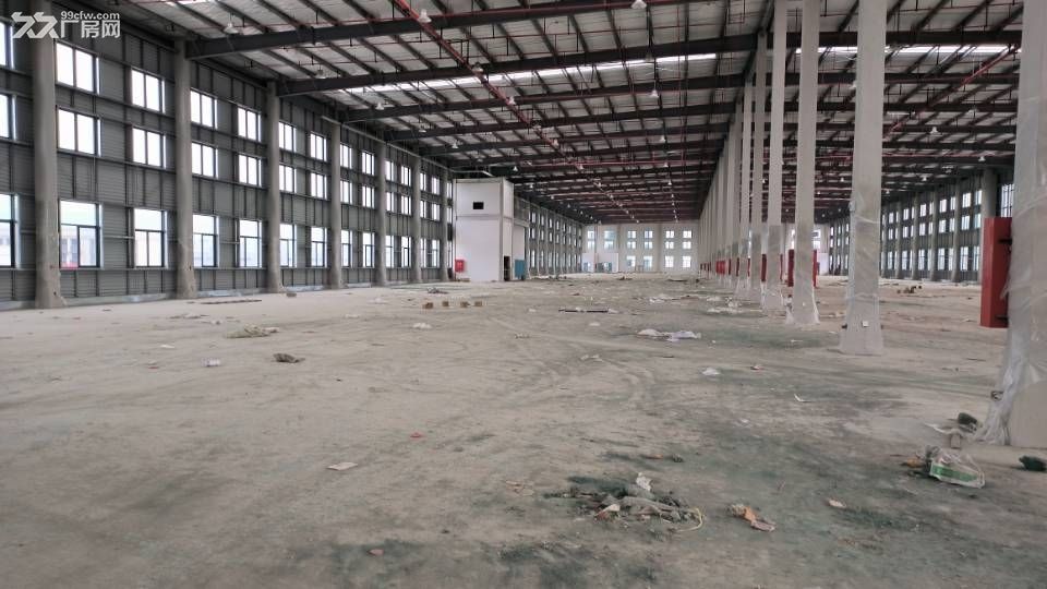 含谷高新区标准钢结构厂房10000平方可分租 - 5