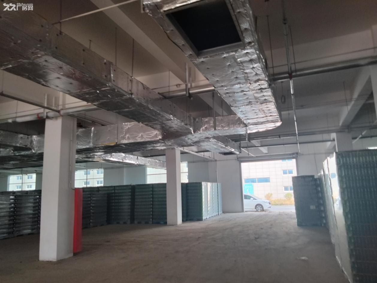临沂莒南物流产业园新建厂房出租出售价格低
