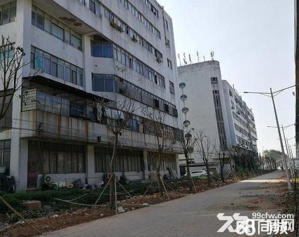 前山三层厂房平厂房。4000万各付、红本在手。专卖厂房