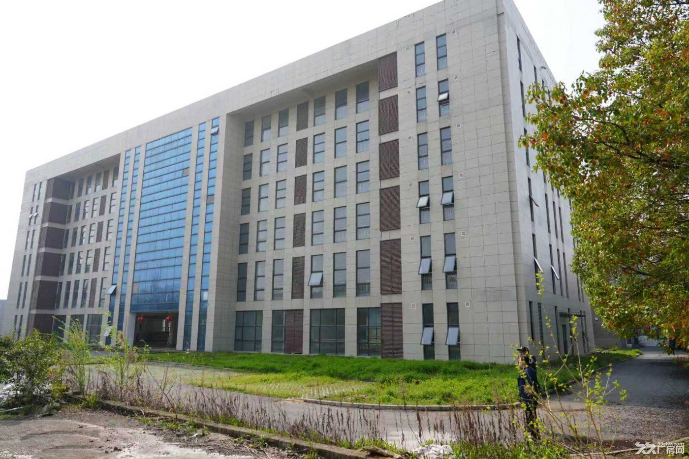 江宁淳化街道索墅工业园厂房出租 - 6